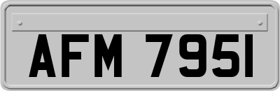 AFM7951