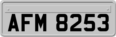 AFM8253