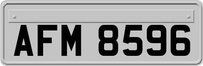 AFM8596