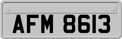 AFM8613