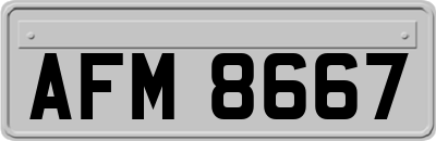 AFM8667