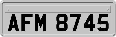 AFM8745