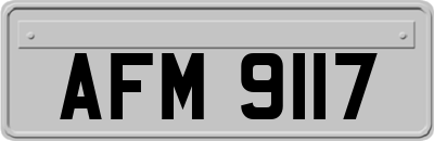 AFM9117
