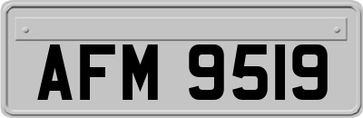 AFM9519