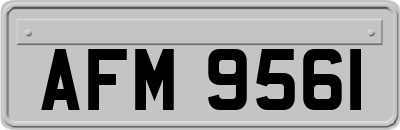 AFM9561