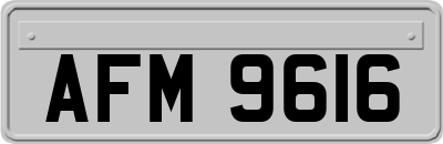 AFM9616