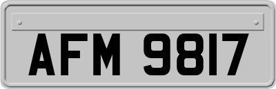 AFM9817