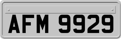 AFM9929