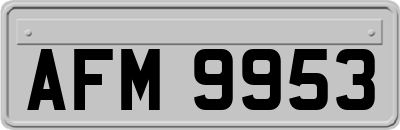 AFM9953