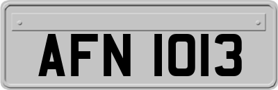 AFN1013