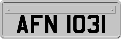 AFN1031