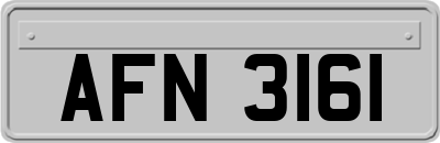 AFN3161