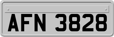 AFN3828