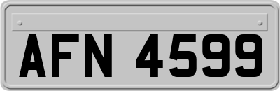 AFN4599