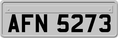 AFN5273