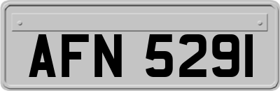 AFN5291