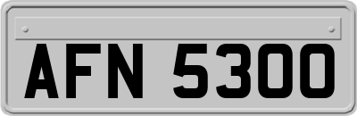 AFN5300