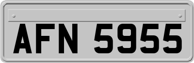 AFN5955