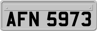 AFN5973