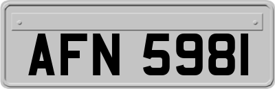 AFN5981