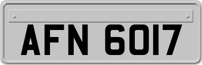AFN6017