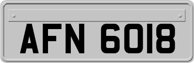 AFN6018
