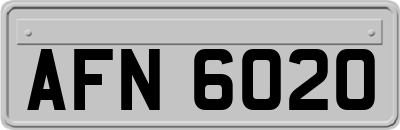 AFN6020