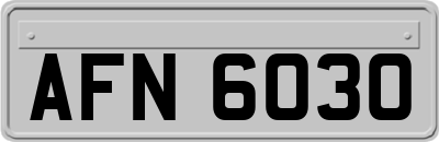 AFN6030