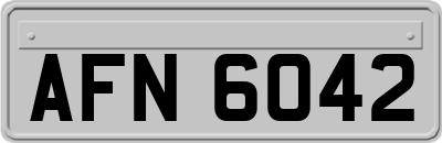 AFN6042
