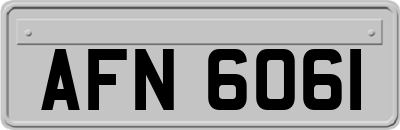 AFN6061