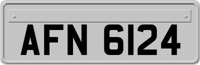 AFN6124