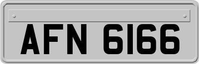 AFN6166