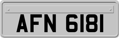 AFN6181