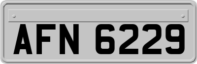 AFN6229