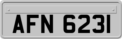 AFN6231