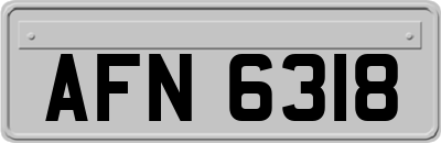 AFN6318