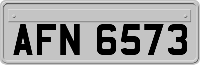 AFN6573