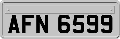 AFN6599