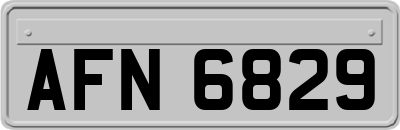 AFN6829