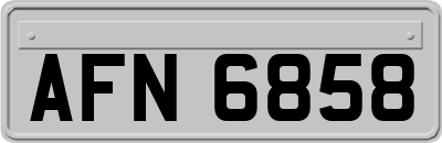 AFN6858