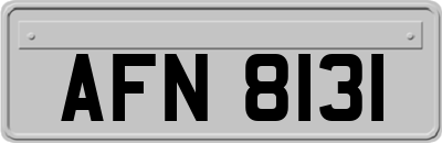 AFN8131