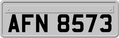 AFN8573