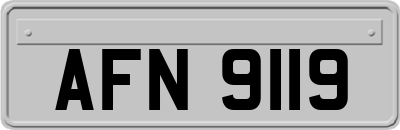 AFN9119