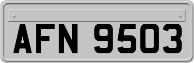 AFN9503