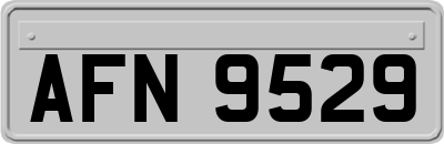AFN9529