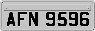 AFN9596