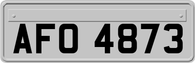AFO4873