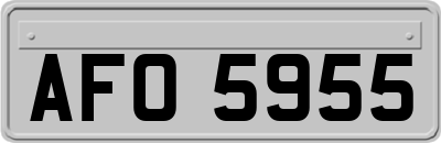 AFO5955