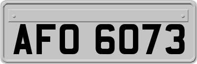 AFO6073