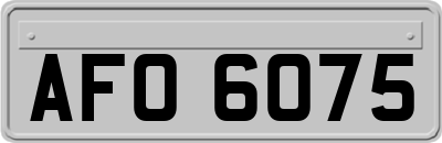 AFO6075